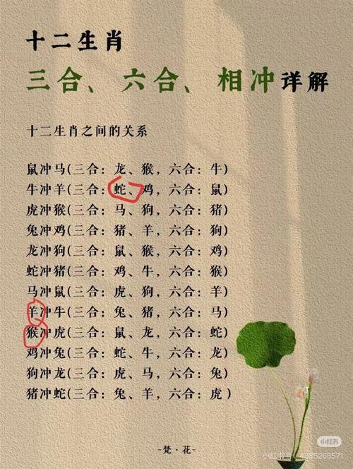 关于“唯有沧浪孺子知,日照棉麻闪银光”是什么生肖动物的信息