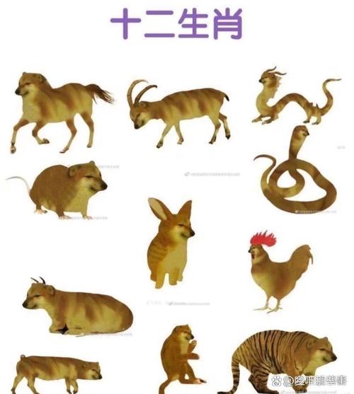 “金石不渝值千金”打一最佳准确生肖-金石不渝值千金公正无私包青天打一生肖