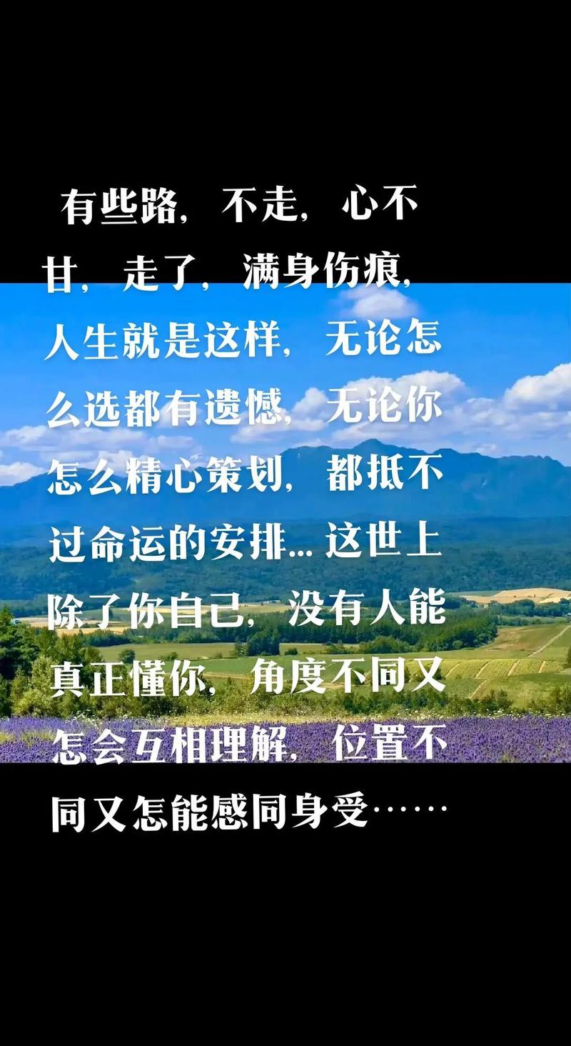 从此走上不归路打一生肖-从此走上不归路的上一句是什么