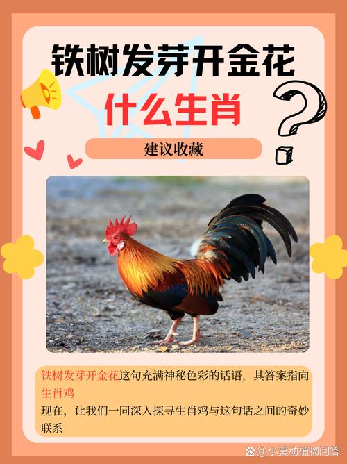 一定要开红花代表什么生肖-一定要开红花代表什么生肖呢