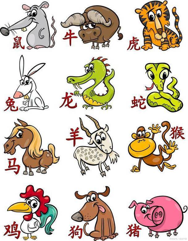 红花开代表什么生肖-红花开代表什么生肖动物