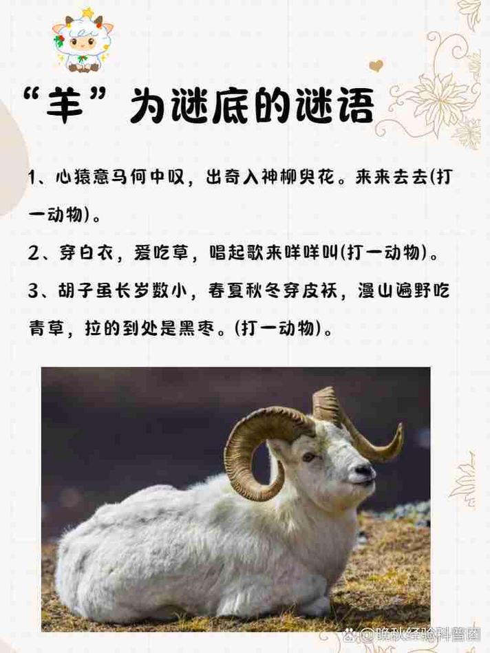 关于“三两年岁最调皮”打一准确动物生肖的信息