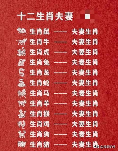 2000年属什么生肖配对-2000年属什么生肖配对和猪可以配对不