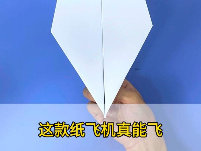 纸飞机电脑端怎么下-纸飞机怎么下载中文版本的
