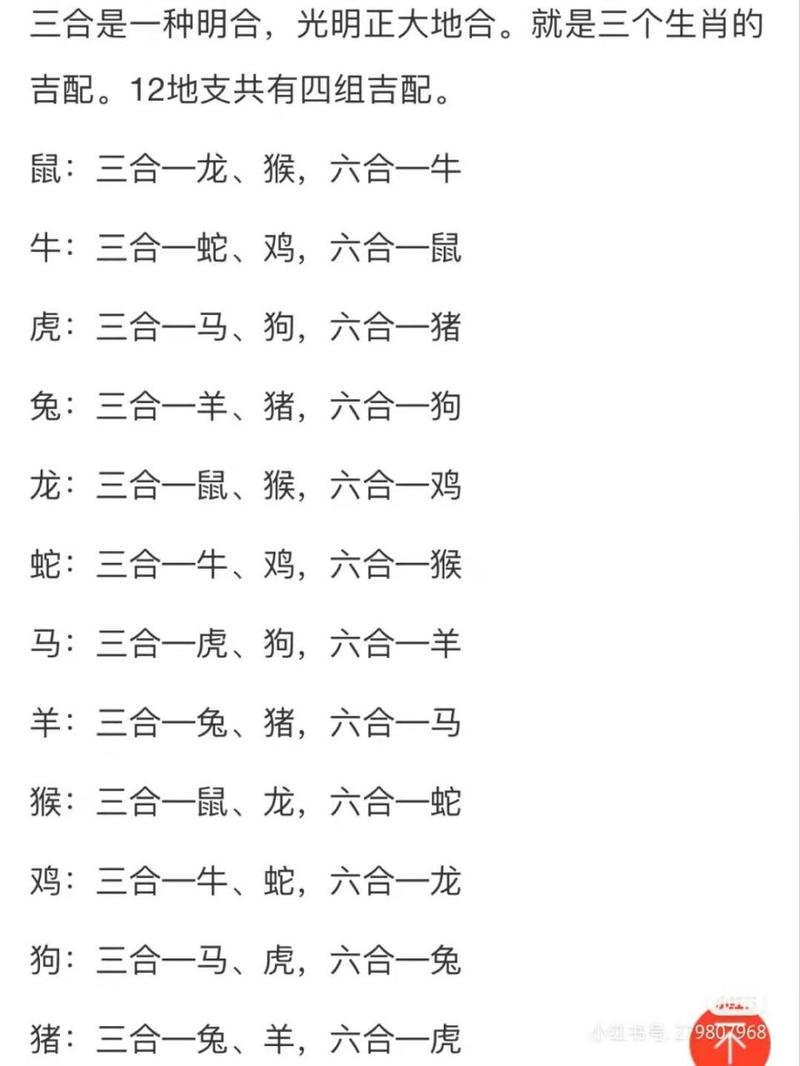 今期会出什么生肖啊-今期开什么生肖百度知道
