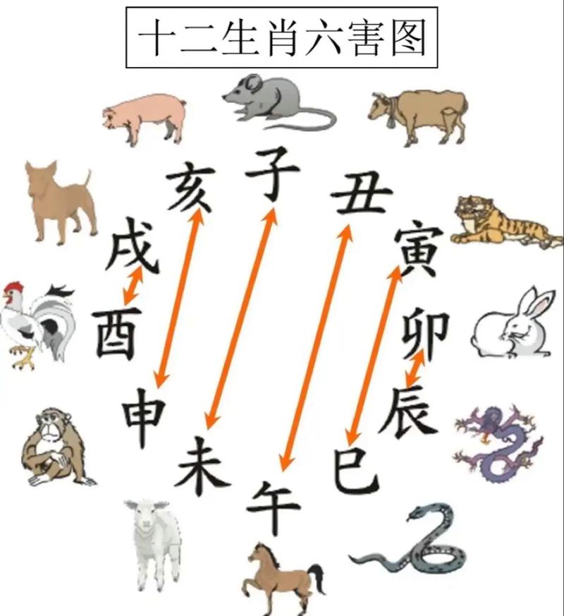 官打一生肖是什么生肖-官打一生肖是什么生肖呢