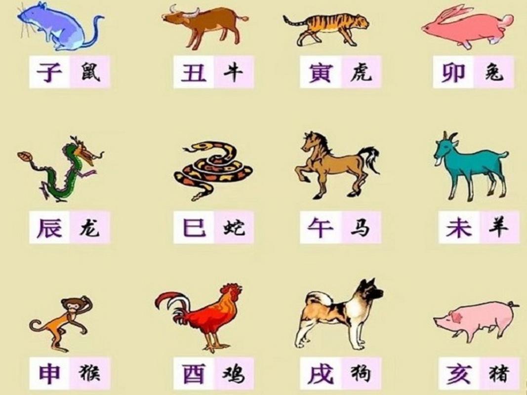 什么生肖能开天辟地-十二生肖开天辟地是什么生肖