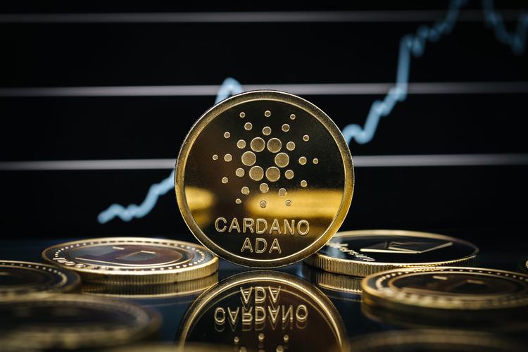 卡尔达诺预言什么意思-卡尔达诺cardano项目
