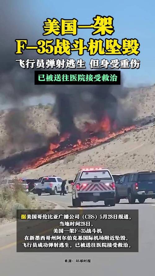 美坠机飞行员被证实死亡-美坠机飞行员被证实死亡是真的吗