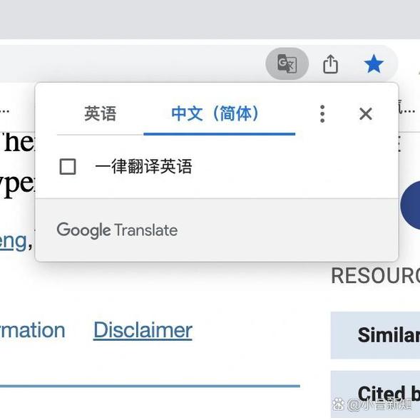 谷歌翻译下载电脑版-google翻译电脑版下载