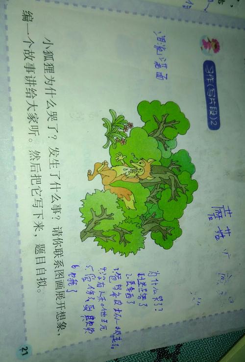 狐狸去了-狐狸中狐狸最终丢掉了什么