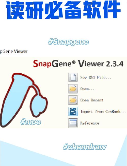 snap下载-snap软件安装