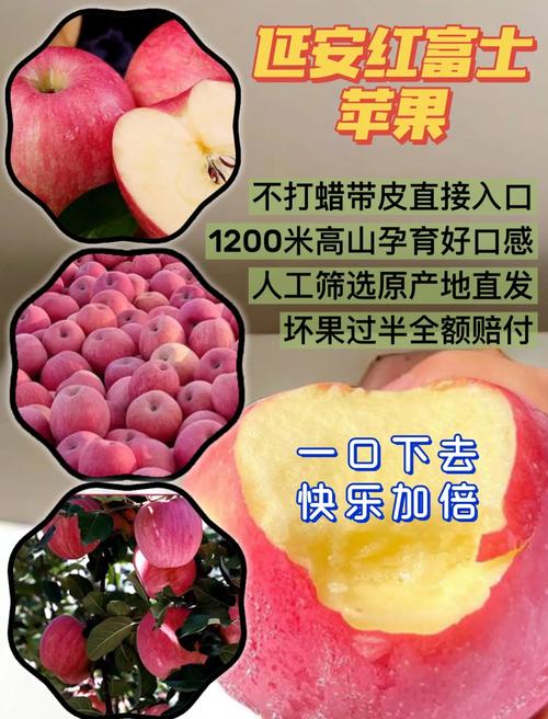 tg官网入口苹果的简单介绍
