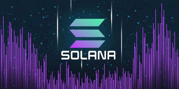 sola的中文意思-solad的中文意思