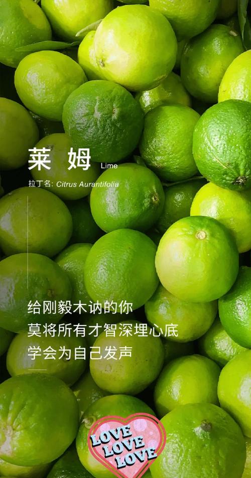 青柠英文-青柠的英文怎么写?