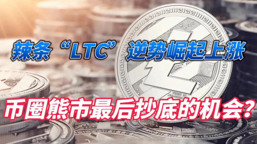 莱特币怎么样-莱特币怎么样赚钱