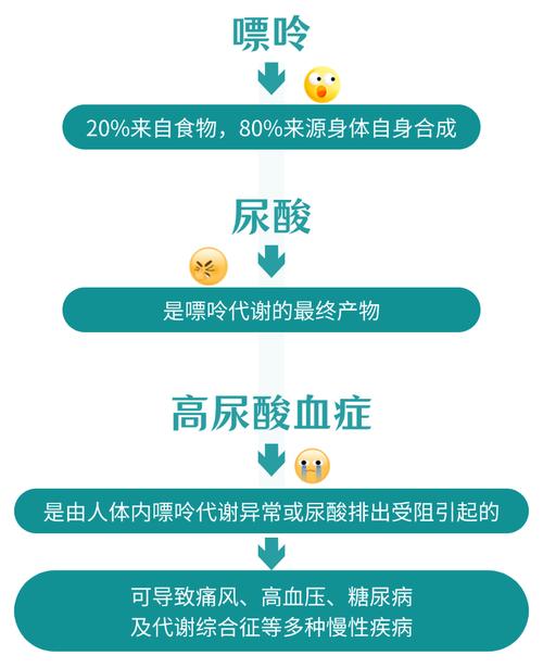 什么是尿酸是怎么形成的-什么是尿酸尿酸是怎么形成的