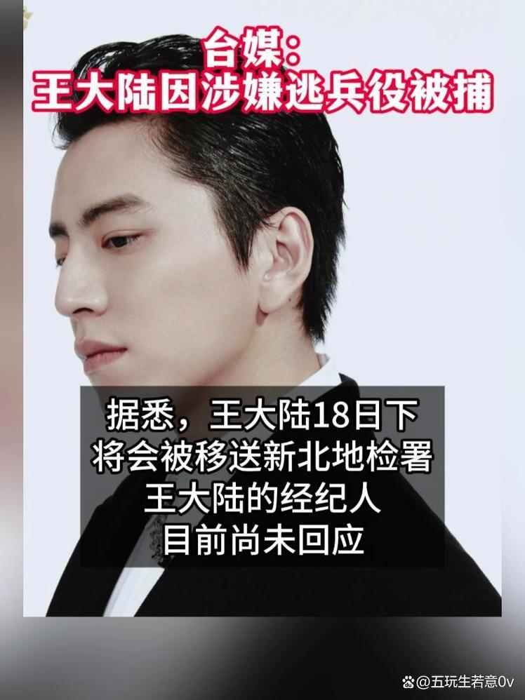 关于王大陆交保后露面的信息