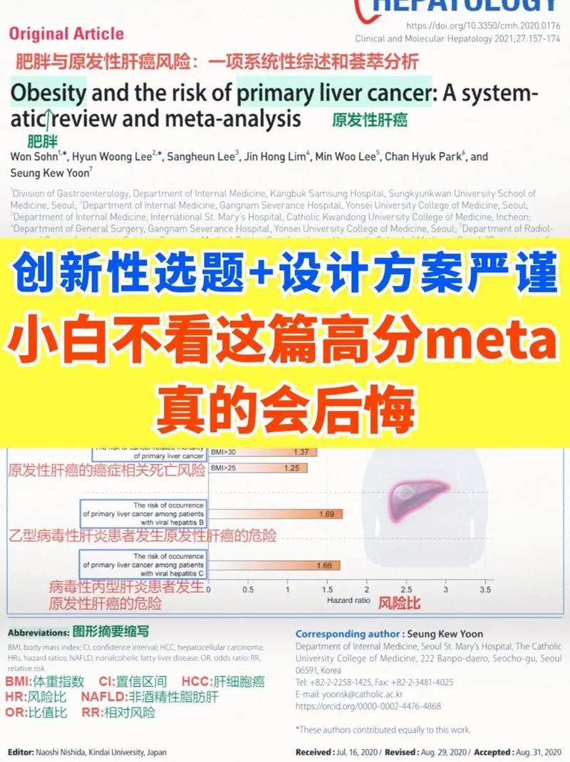 metaworks-MetaWorKs中文怎么读