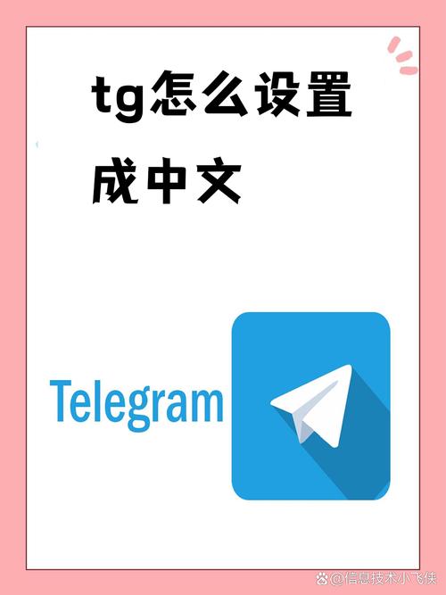 tg下载的视频在哪里查看的简单介绍