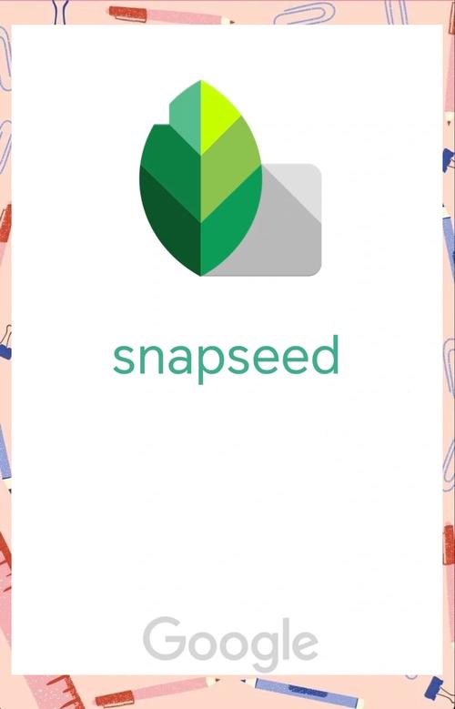snapseed正版打开的页面-snapseed主界面上有个设置功能,我们在格式和画质