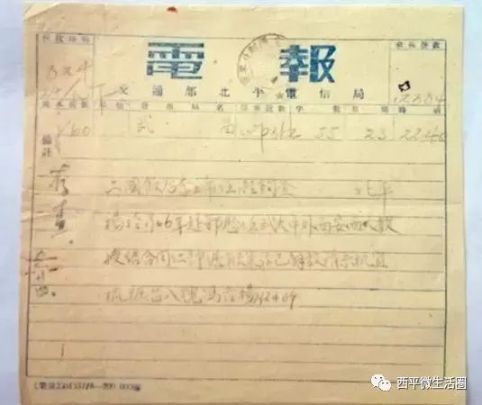 电报设置翻译-电报怎么实时翻译