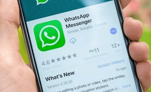 whatsapp聊天界面-whatsapp聊天只有一个勾