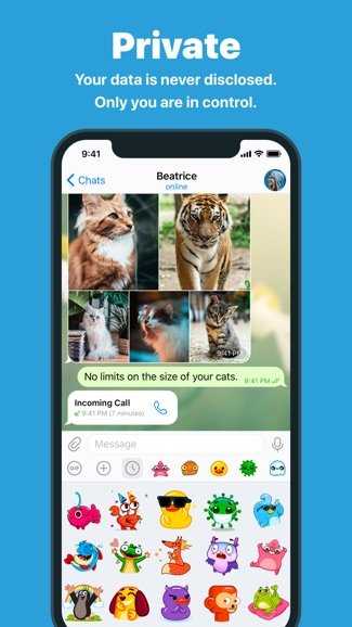 telegraph官网下载中文-telegraph apk download
