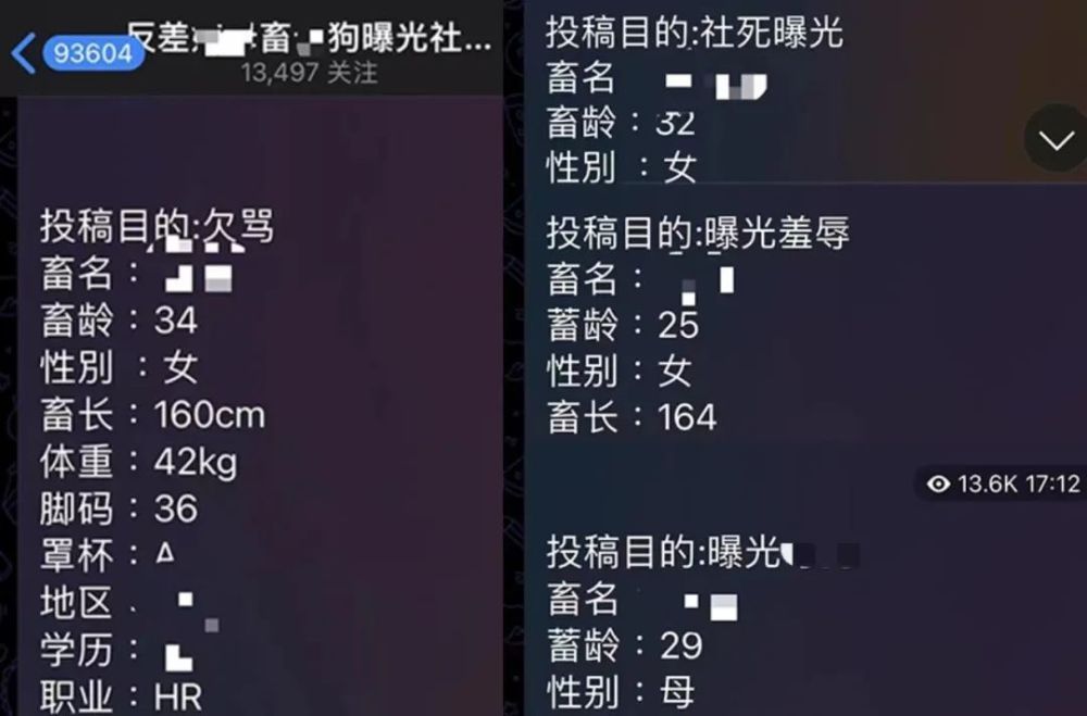 关于telegeram账号被注销怎样找回的信息