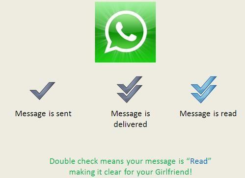 whatsapp的中文翻译-whatsapp如何翻译中文