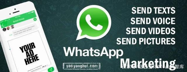 whatsapp网页版登录_whatsapp网页版怎么打不开