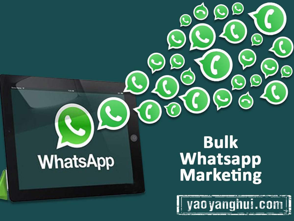 whatsapp中国手机号_whatsapp中国手机号无法登录