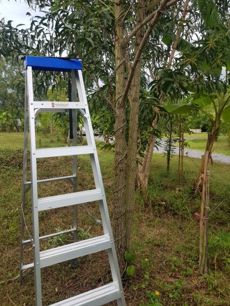 手机外网梯子加速器_手机外网梯子加速器怎么用