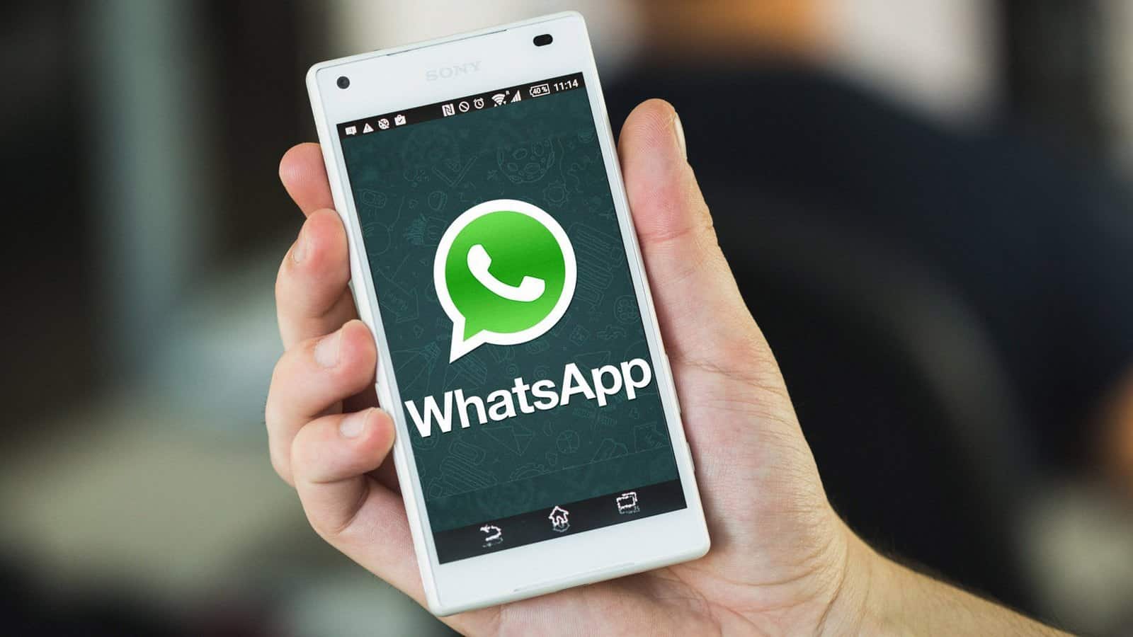 安卓whatsapp怎么更新_如何更新whatsapp最新版本