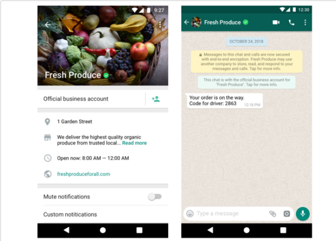 正版whatsapp官网_whatsapp官网手机版 app
