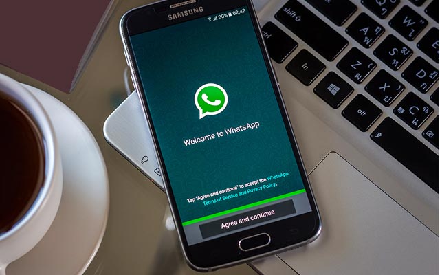 whatsapp_whatsapp安卓版下载