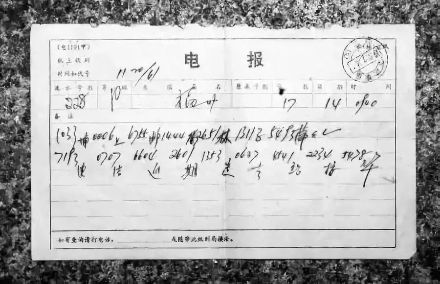 猴子发电报原视频_猴子发电报原视频无消音