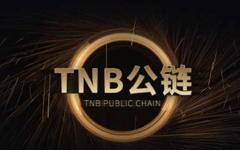 关于tether官网中文下载的信息