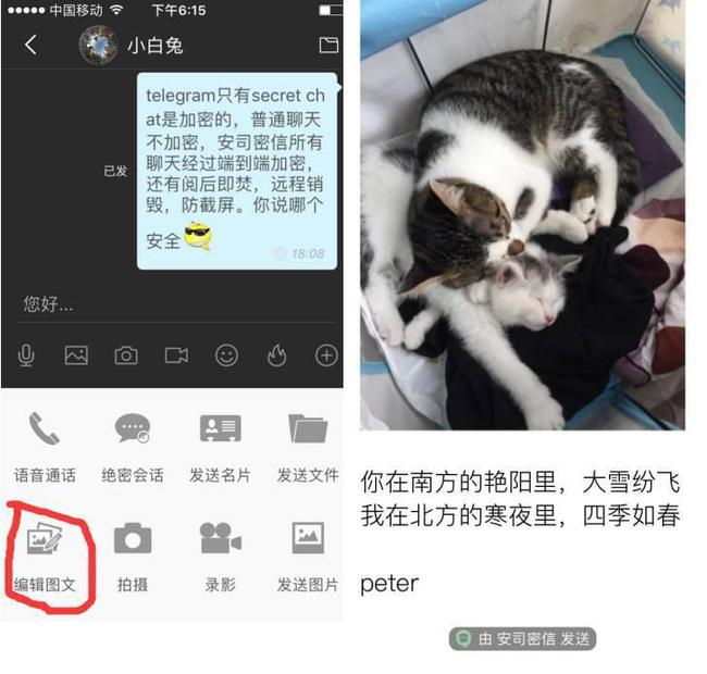 包含telegraph怎么注册账号的词条