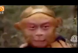 猴子电报员无消音_电报猴原视频没有电音
