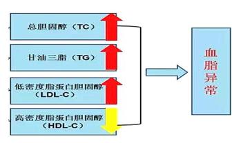 TG的临床意义_nap积分的临床意义