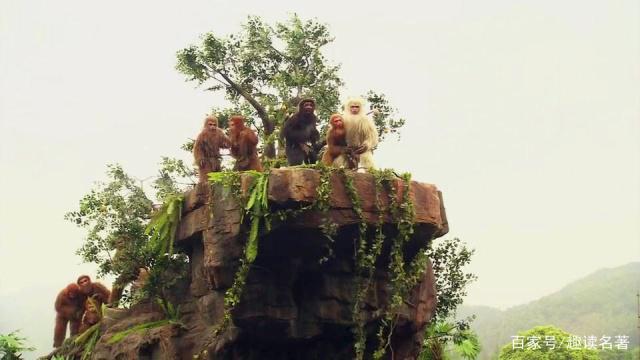 花果山电报猴消音视频_花 果 山 电 报 员