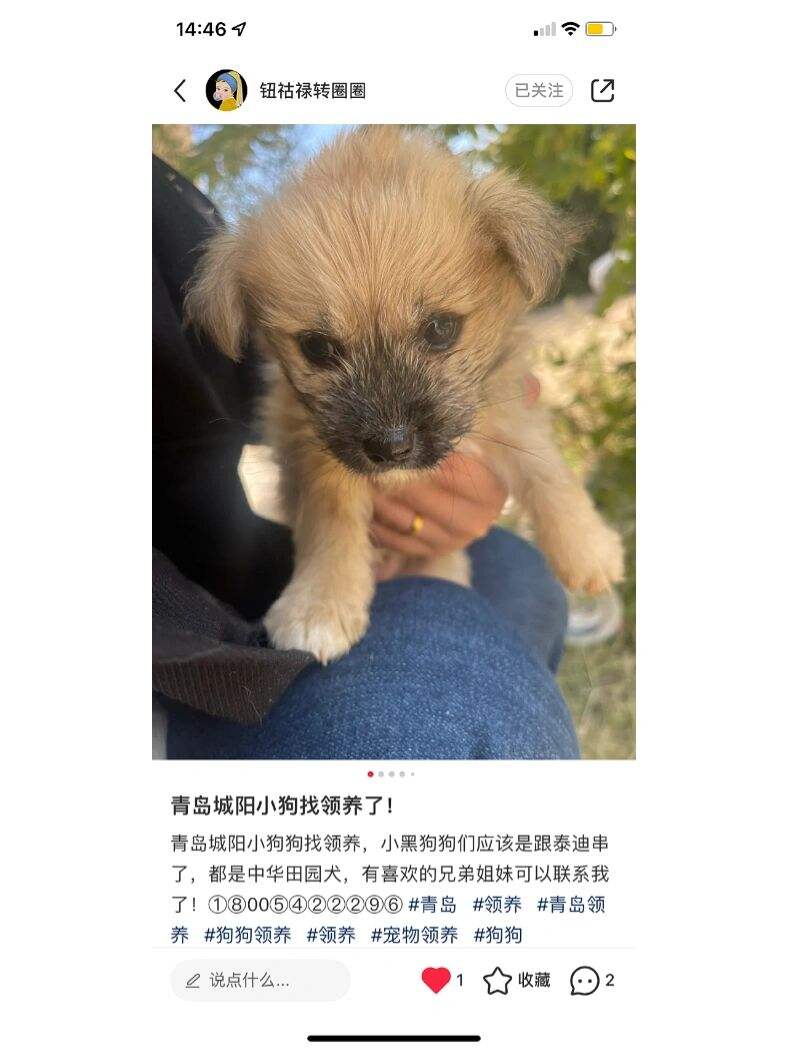 狗急加速破解教程_狗急加速器下载安卓版