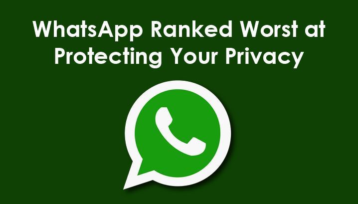 WhatsApp官网下载_whatsapp官网下载中文版