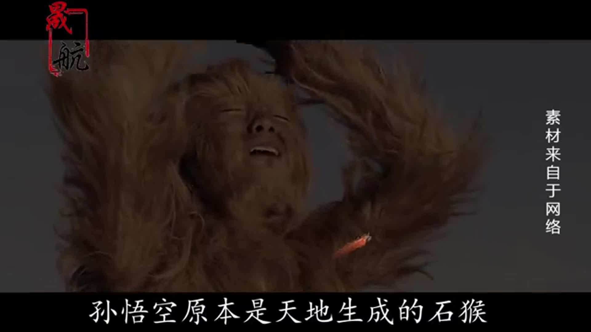 电报猴哥骂人视频完整版的简单介绍