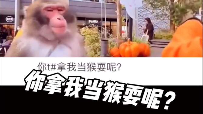 电报猴子盒2.0_电报猴子盒_一顿电报输出