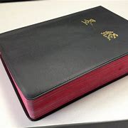 bitpei钱包_bitpei钱包下载