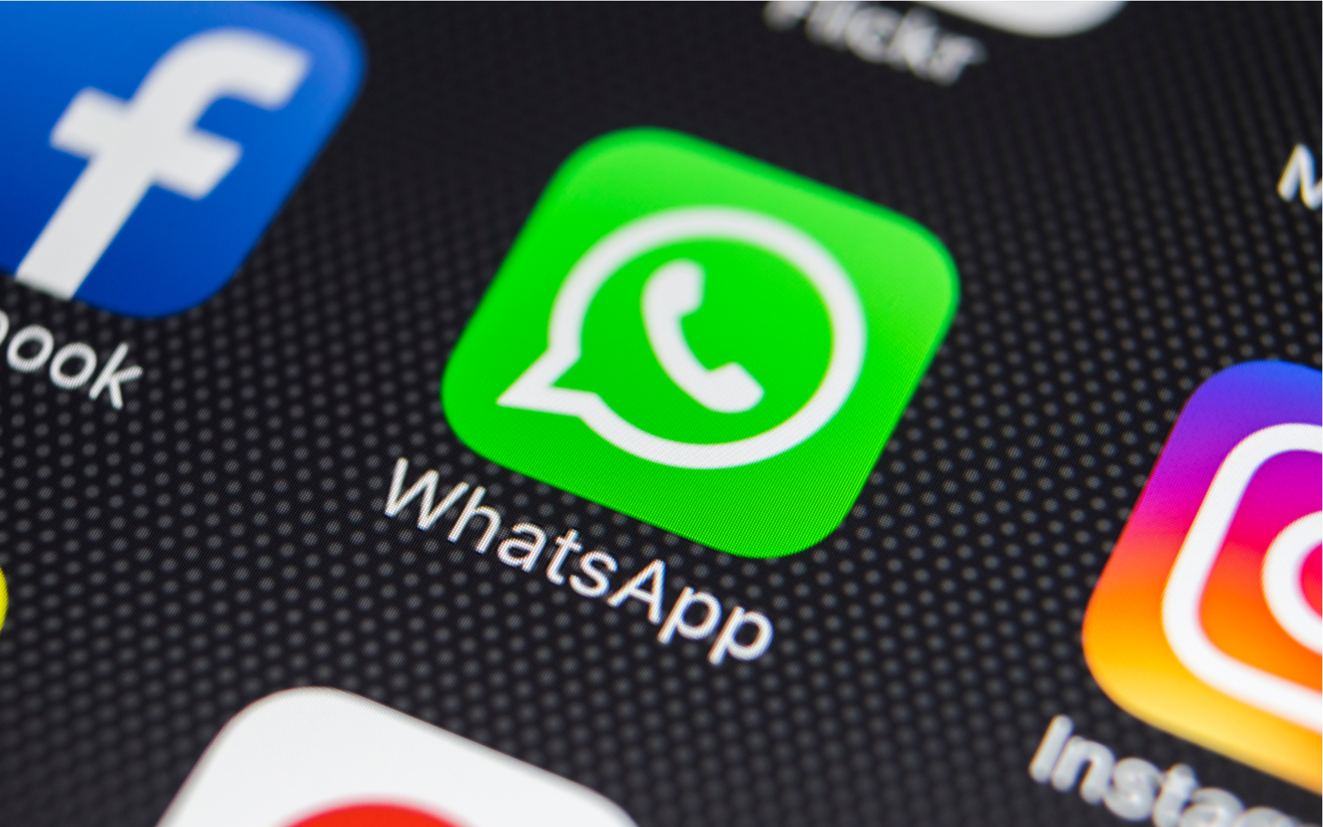 whatsapp官网免费下载_whatsapp官网最新下载安卓