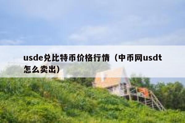 usdt属于什么币种价格_usdt是什么币价格会上涨吗