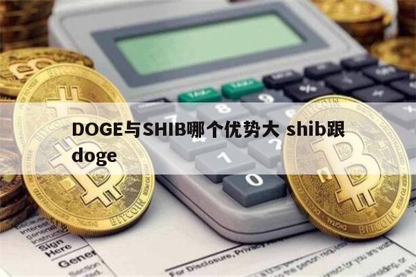 shib币最新价格_shib币最新价格做梦梦见下水管坏了